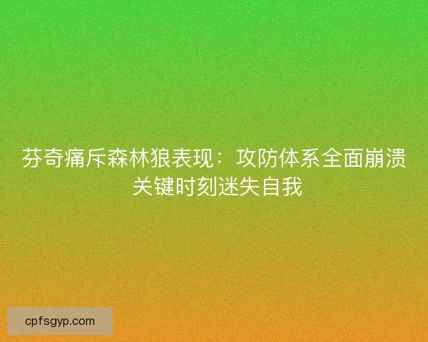 芬奇痛斥森林狼表现：攻防体系全面崩溃 关键时刻迷失自我