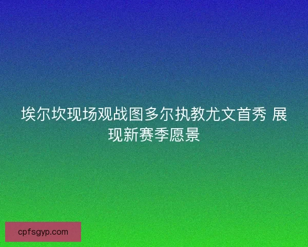 埃尔坎现场观战图多尔执教尤文首秀 展现新赛季愿景
